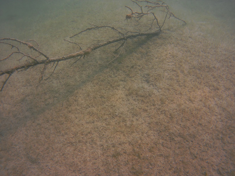 2018_0616_163346_004